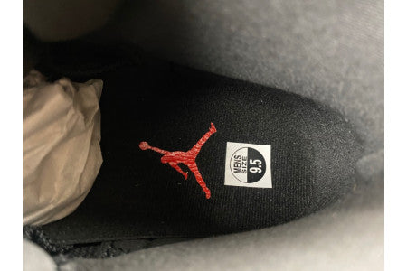 AIR JORDAN 12 BLOODLINE